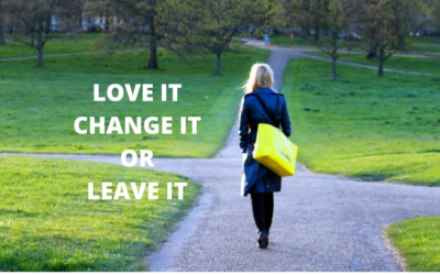 Love it, Change it or Leave it